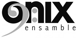 Logo onix copy